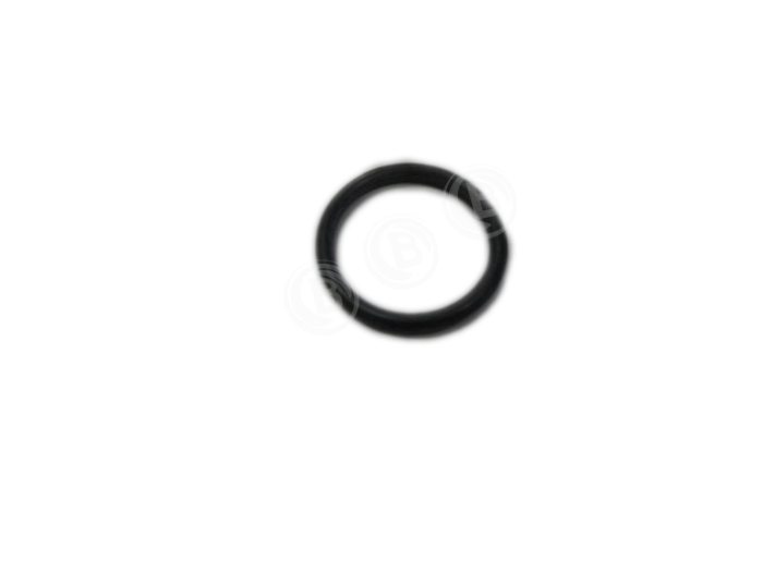 O-Ring M 22 X 1,5