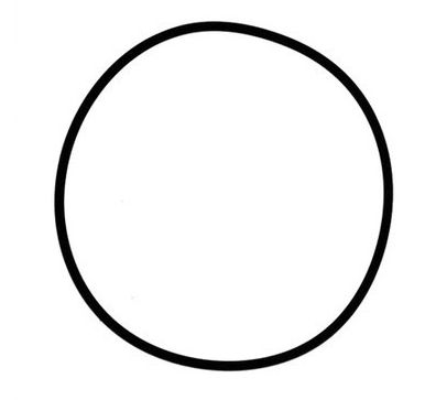 O-Ring Stutzen Ladeluftschlauch