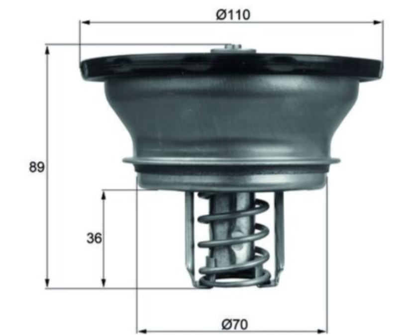 Thermostat, Kühlmittel 82°